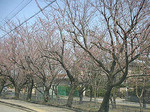 060407.jpg