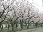 060414_1.jpg