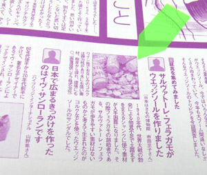 コルク写真の掲載箇所拡大